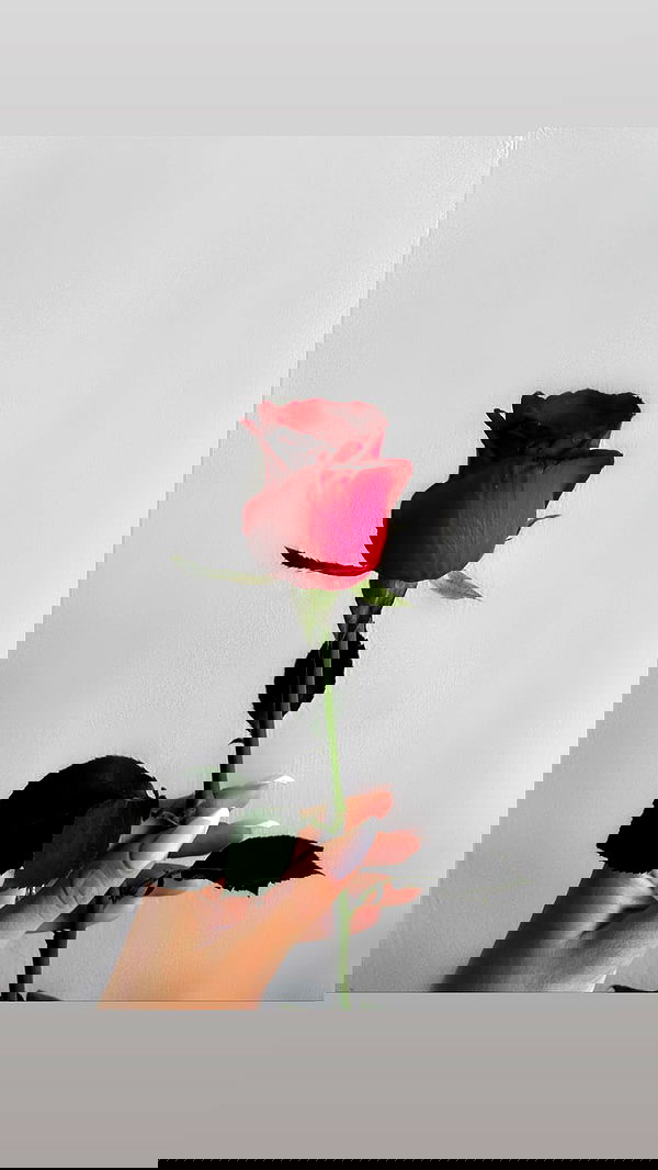 biton__adi biton__adi archive image