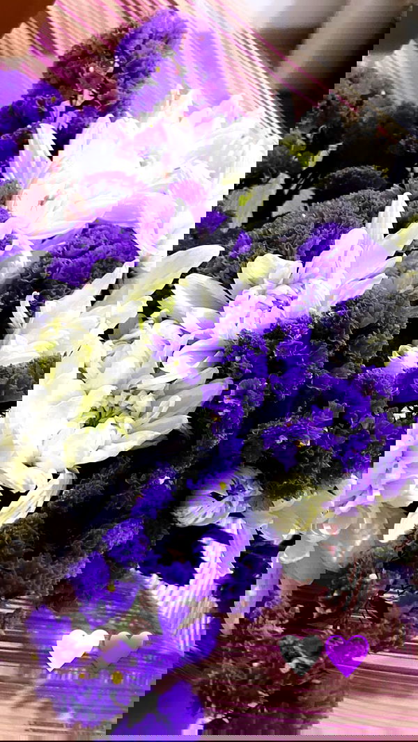 biton__adi biton__adi archive image