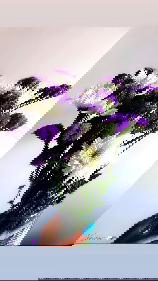 biton__adi biton__adi archive image