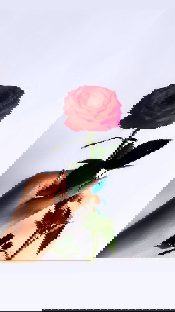 biton__adi biton__adi archive image