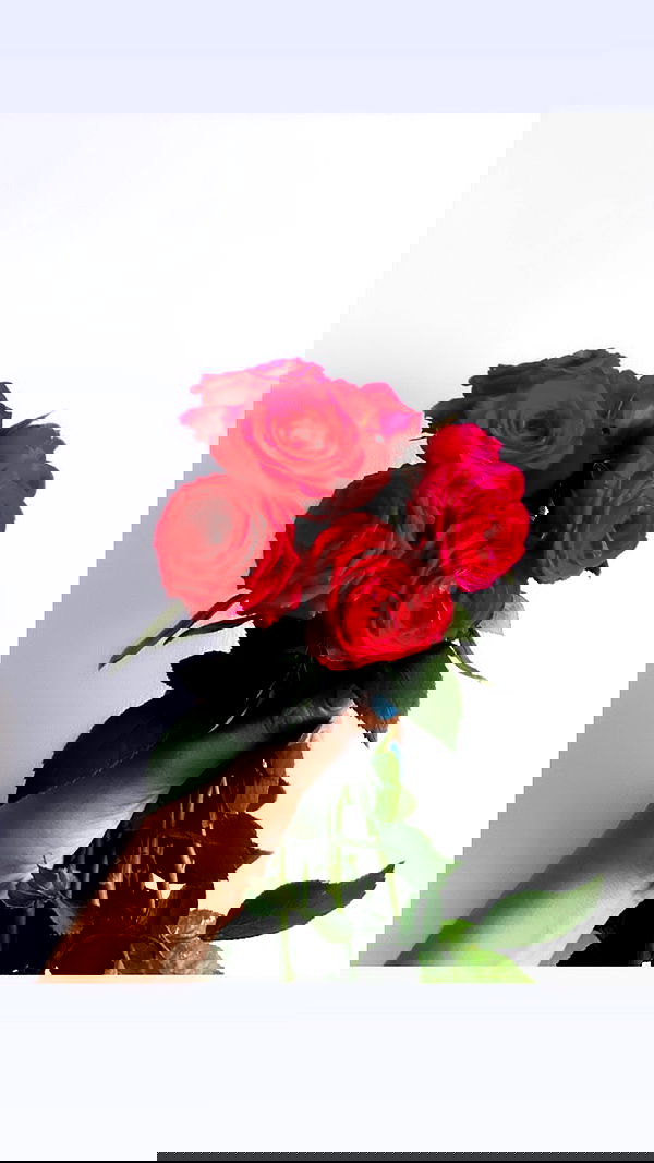 biton__adi biton__adi archive image