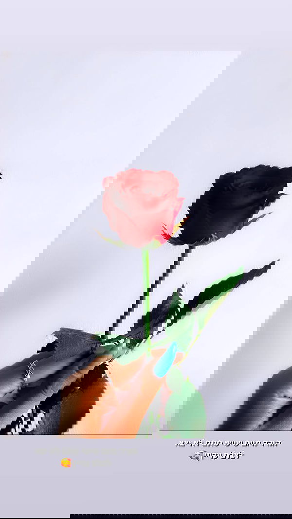 biton__adi biton__adi archive image