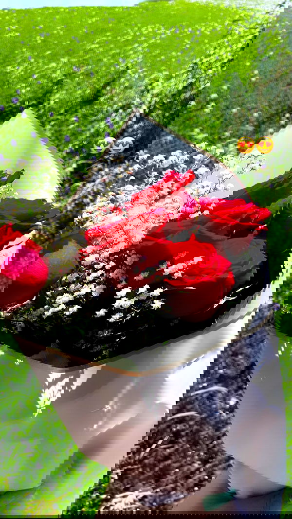 biton__adi biton__adi archive image