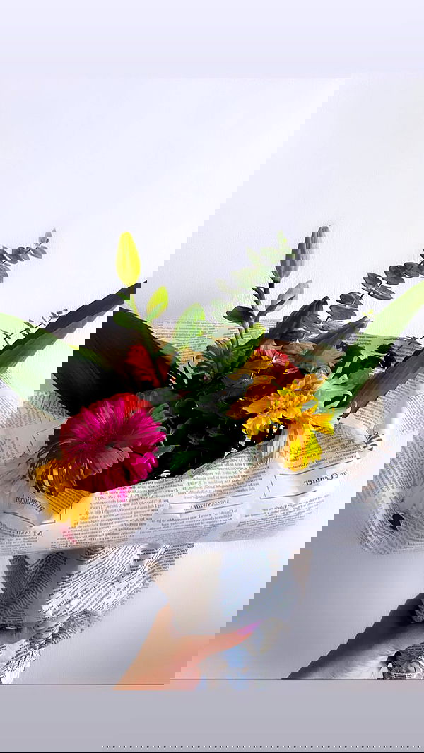 biton__adi biton__adi archive image