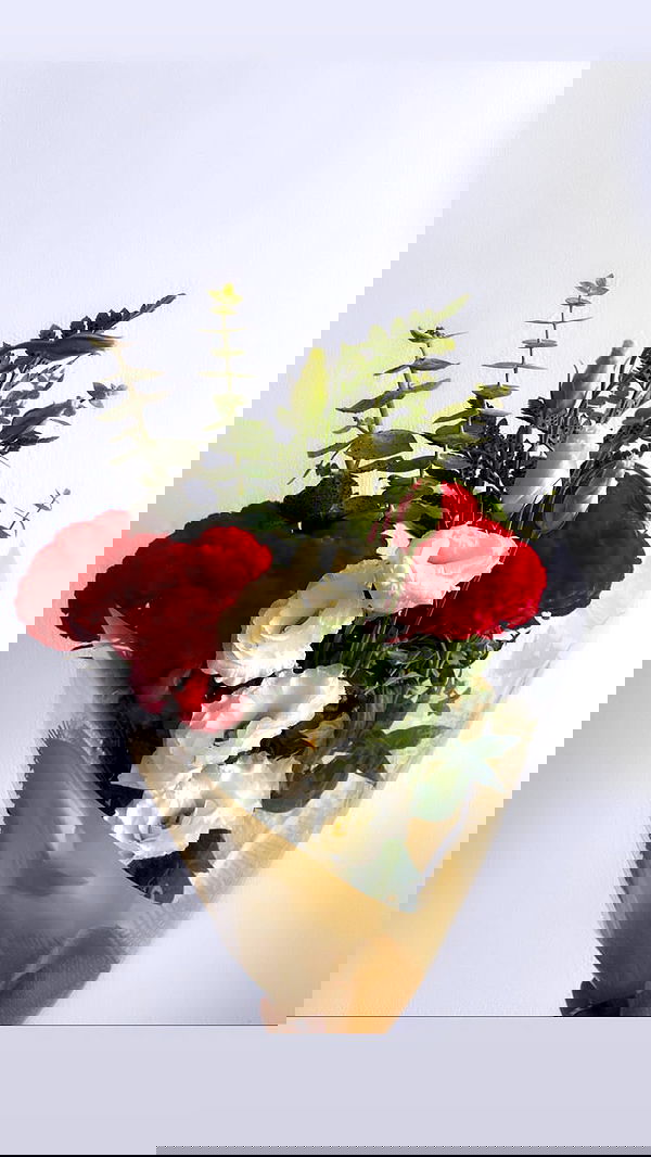 biton__adi biton__adi archive image