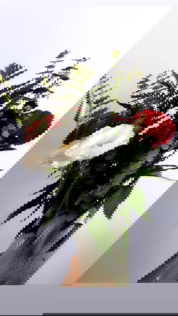 biton__adi biton__adi archive image