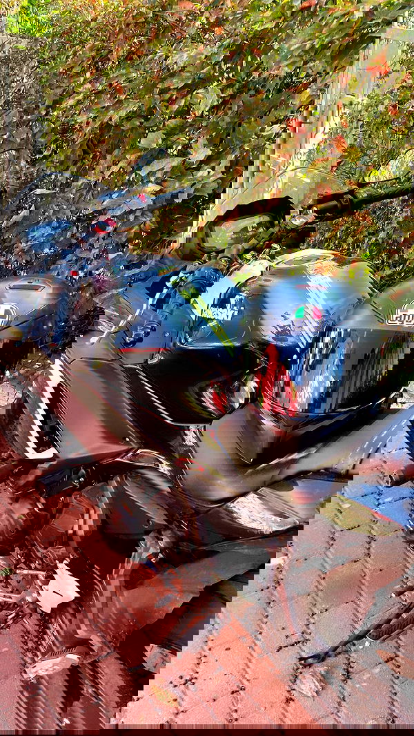 biton__adi biton__adi archive image