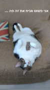 canabaputgir Altpins Profile Picture