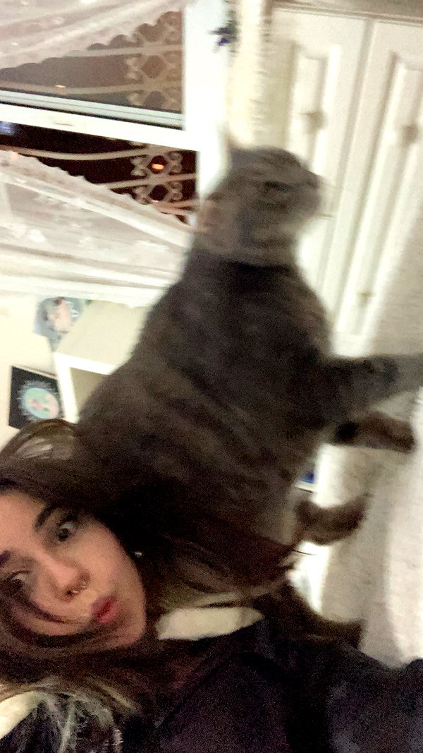 canabaputgir instagram image archive image