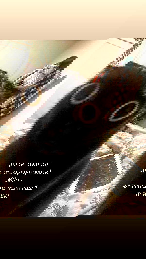 canabaputgir canabaputgir archive image