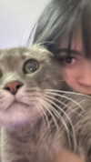 canabaputgir Altpins Profile Picture