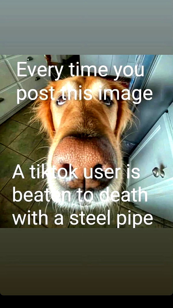 canabaputgir instagram image archive image