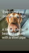 canabaputgir Altpins Profile Picture