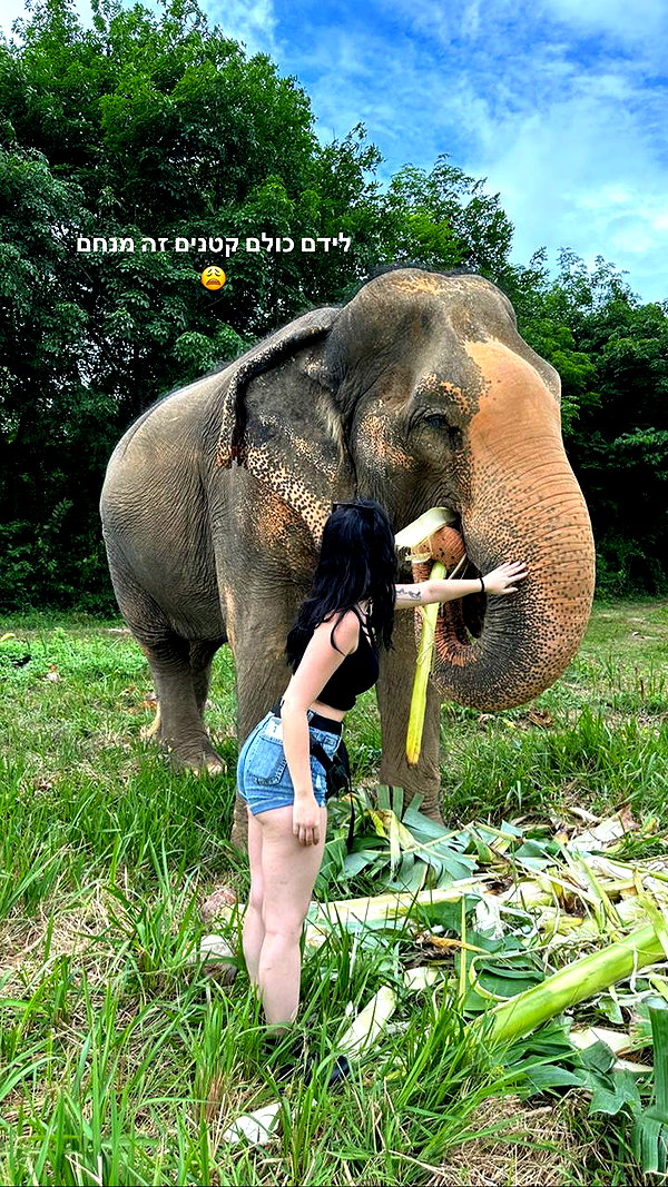 canabaputgir instagram image archive image