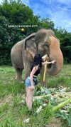 canabaputgir Altpins Profile Picture