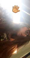 chen940 Altpins Profile Picture