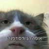 dafnudes Altpins Profile Picture