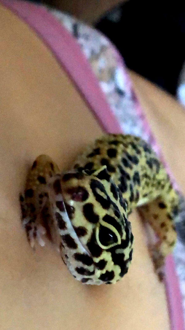 dafnudes instagram image archive image