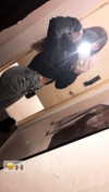 daniella_zeldis Altpins Profile Picture