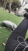 daniella_zeldis Altpins Profile Picture