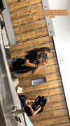 daniella_zeldis Altpins Profile Picture