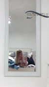 daniella_zeldis Altpins Profile Picture