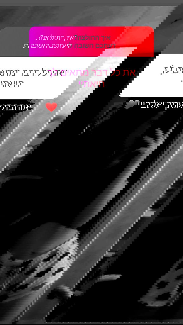 diana__spam diana__spam archive image