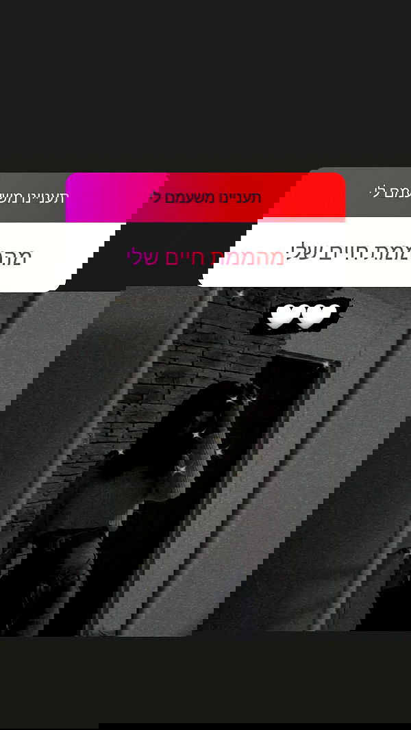 diana__spam diana__spam archive image