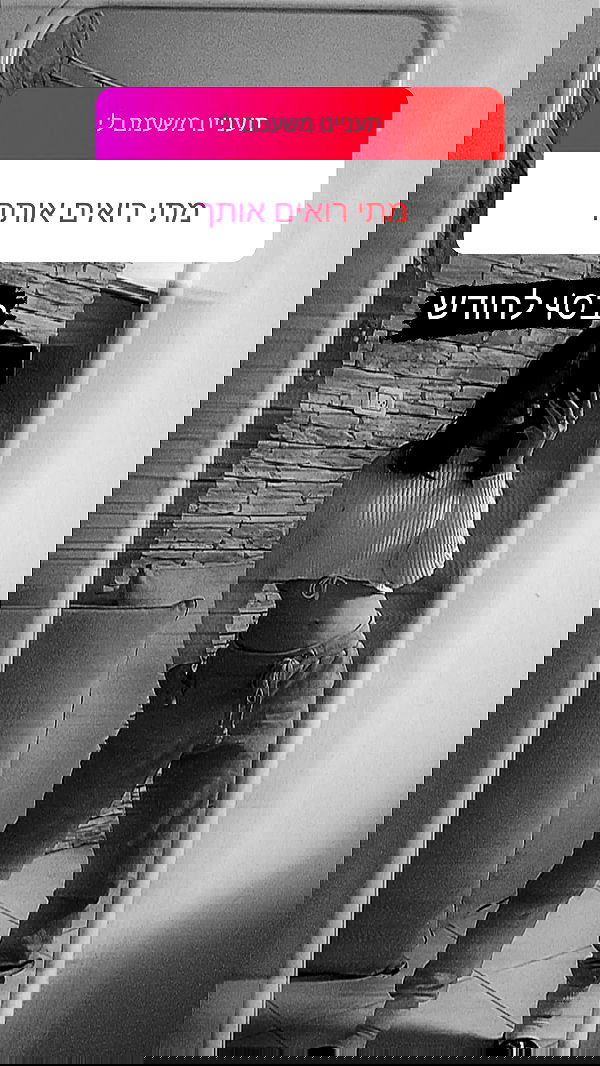 diana__spam diana__spam archive image