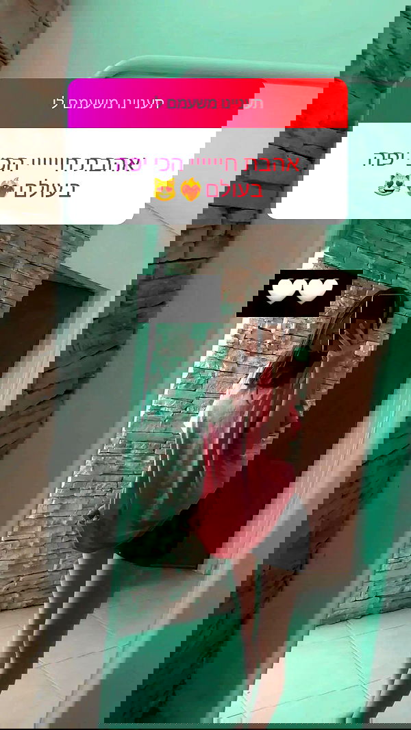 diana__spam diana__spam archive image