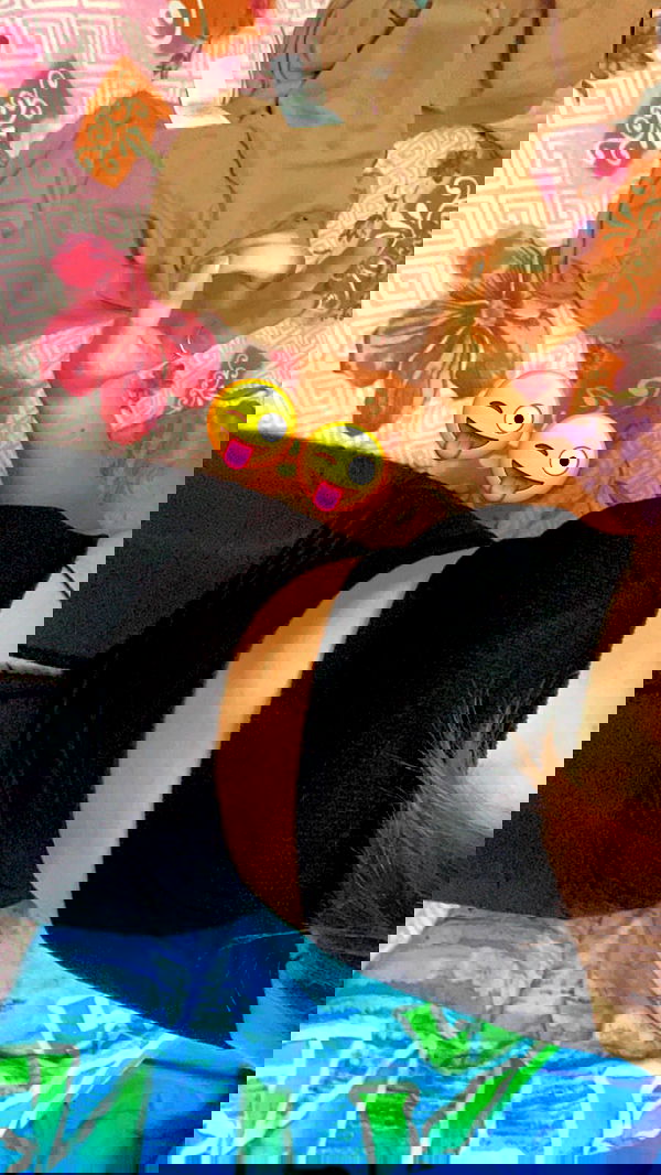 diana__spam diana__spam archive image