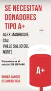 dianavgalvis Altpins Profile Picture