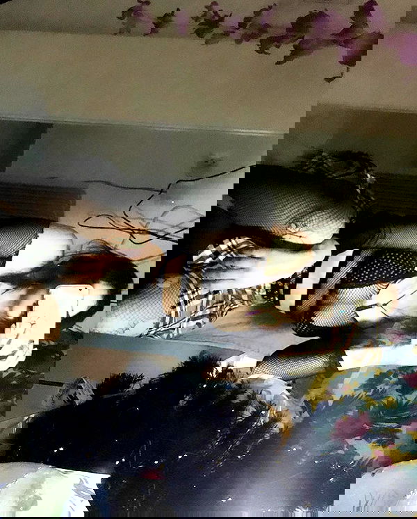 eliana_lahey eliana_lahey archive image