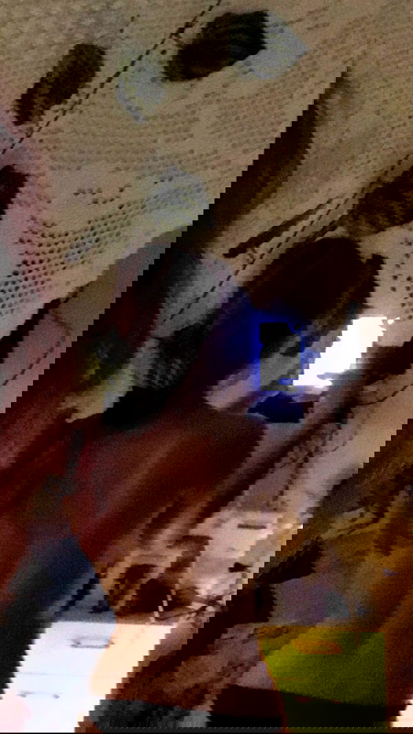 elianashitrit elianashitrit archive image