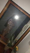 ella.anger Altpins Profile Picture