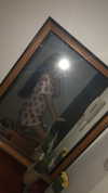 ella.anger Altpins Profile Picture