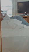 embarziv_ Altpins Profile Picture