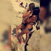 hadar8686 Altpins Profile Picture