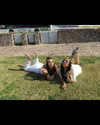 hadar8686 Altpins Profile Picture