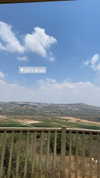hagarschubert Altpins Profile Picture