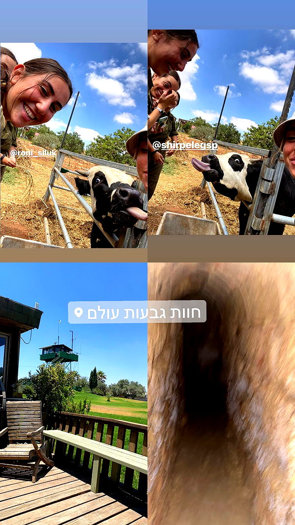 hagarschubert instagram image archive image