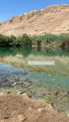 hagarschubert Altpins Profile Picture