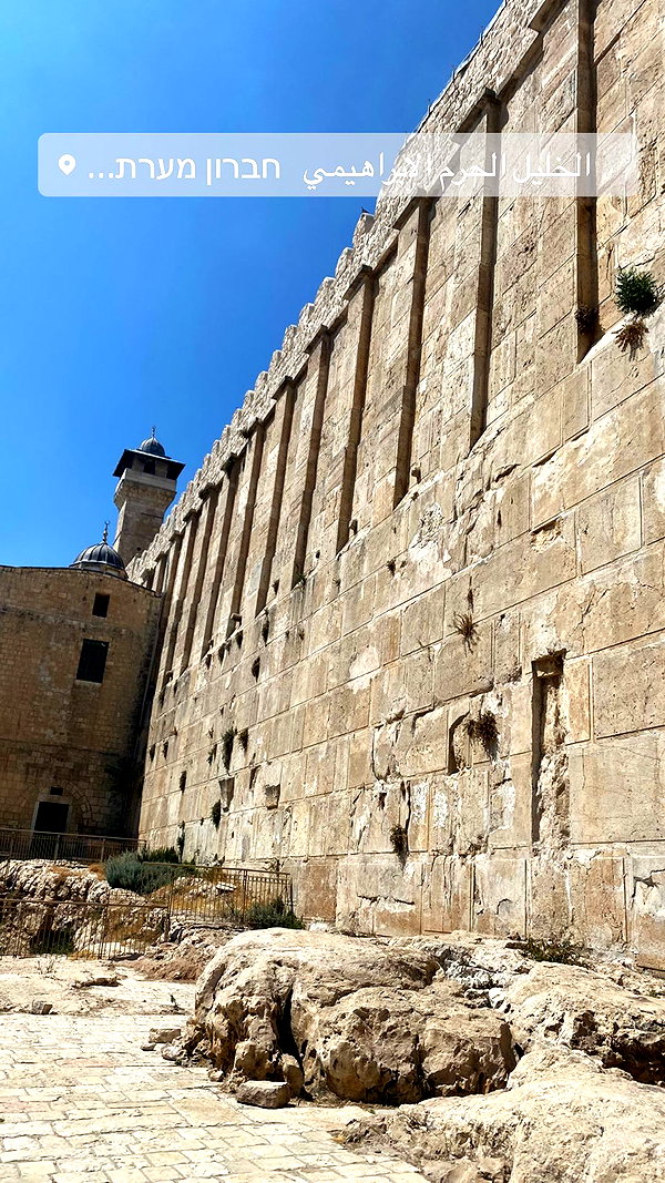hagarschubert instagram image archive image