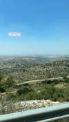 hagarschubert Altpins Profile Picture