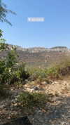 hagarschubert Altpins Profile Picture
