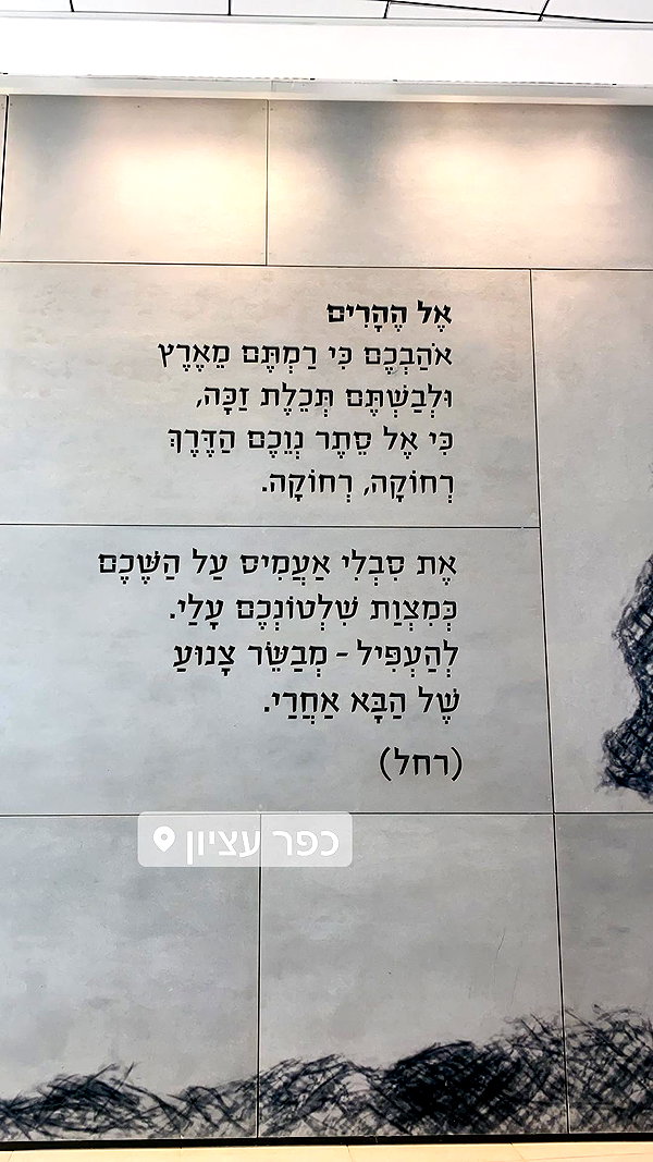 hagarschubert instagram image archive image