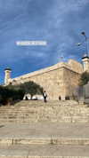 hagarschubert Altpins Profile Picture