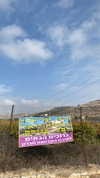 hagarschubert Altpins Profile Picture