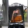 httpjulia Altpins Profile Picture