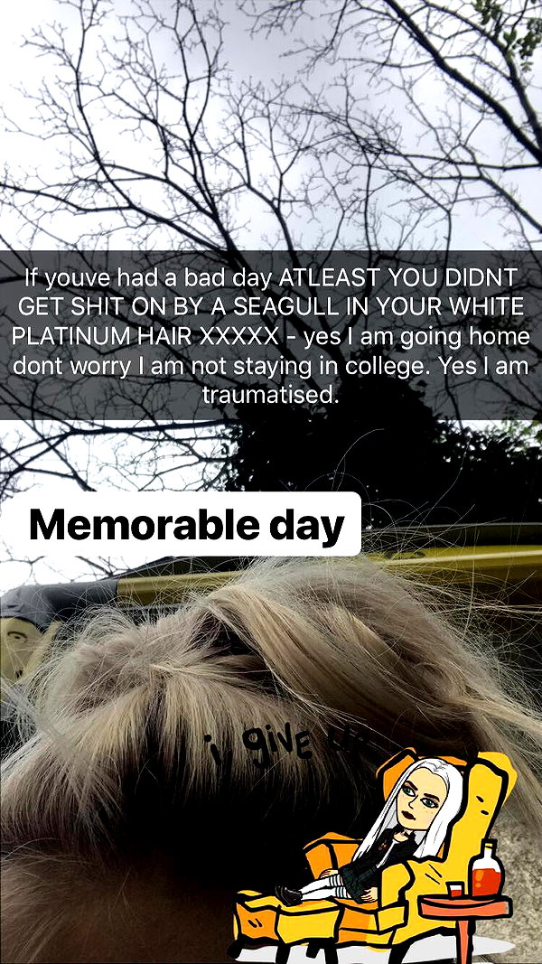 httpjulia instagram image archive image